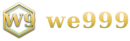 we999 logo